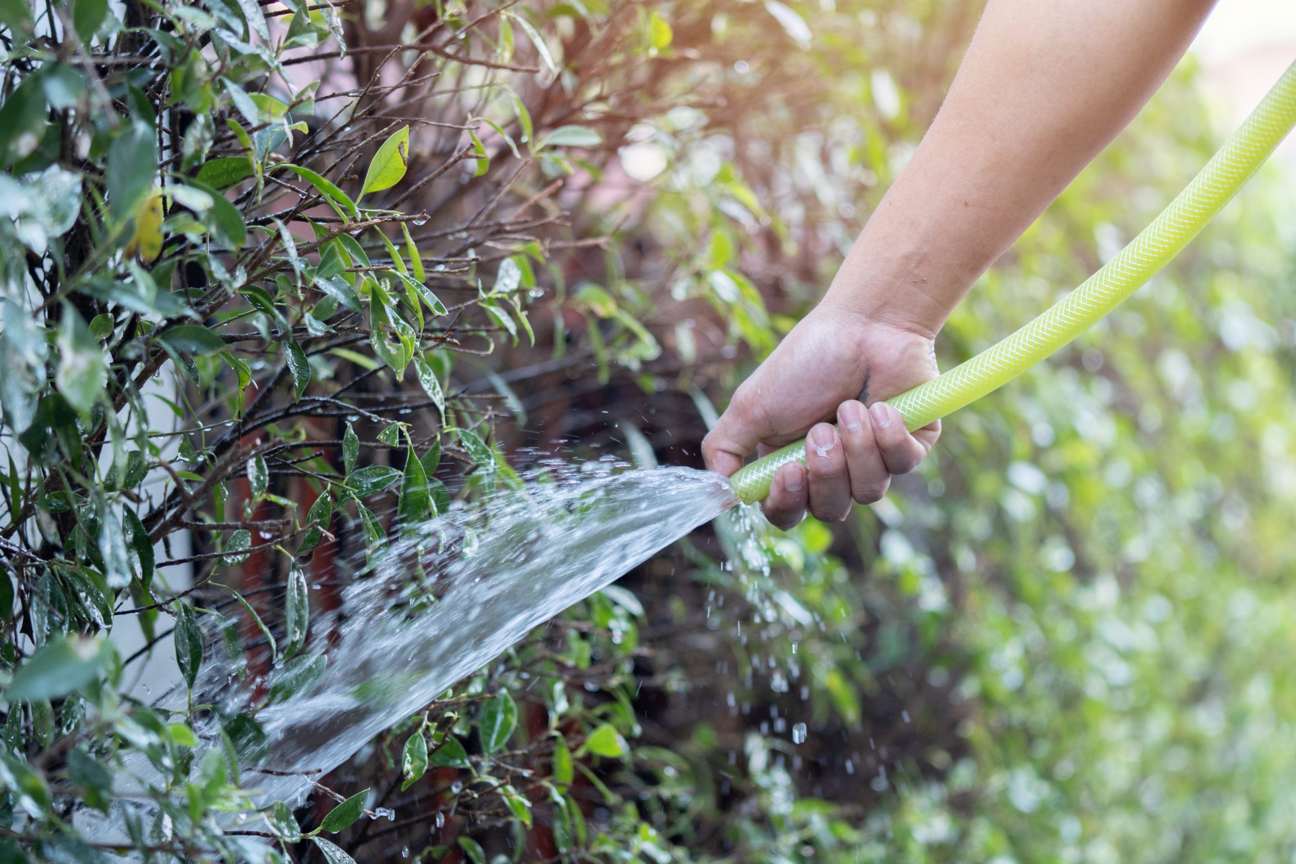 baumgewässerung Holz & Grün